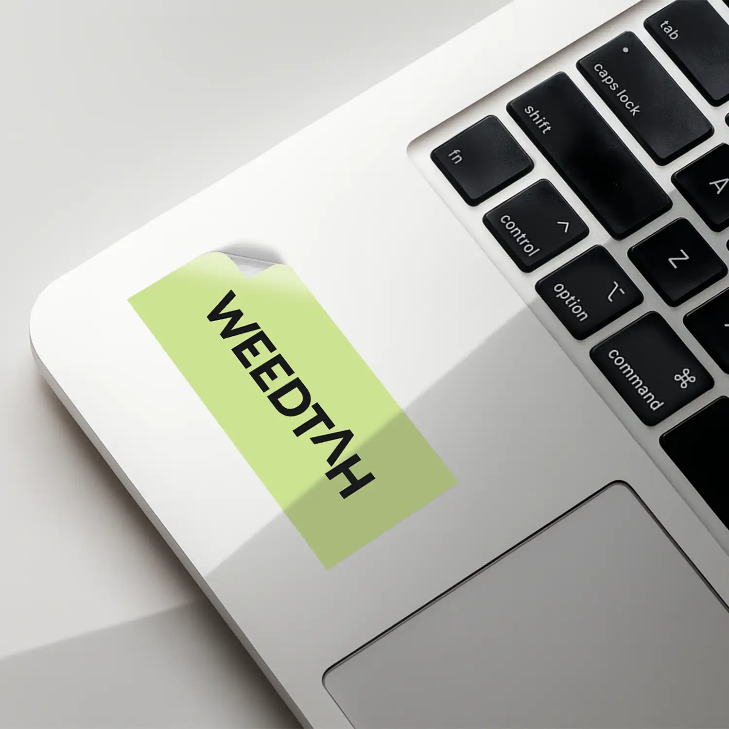 3_canna_roomz_mockup1